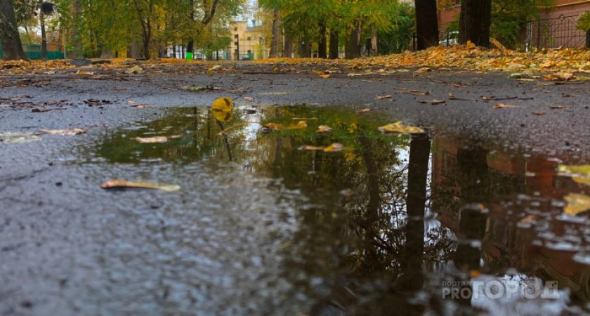 На Сыктывкар обрушится ветер и дождь: прогноз погоды на 10 октября