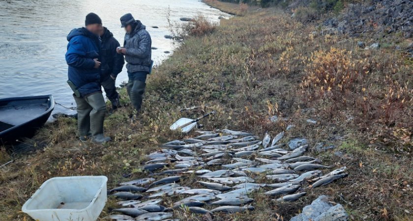 В Коми завели уголовное дело на браконьера, который рыбачил в заповеднике