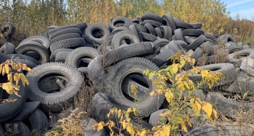 Заказник "Важъелью" в Коми очистили от 13 тонн изношенных шин