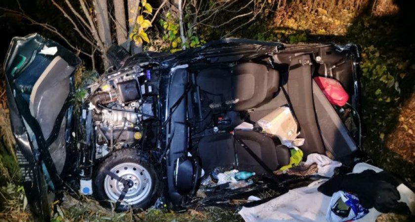 В Коми завершено расследование смертельного ДТП с лосем