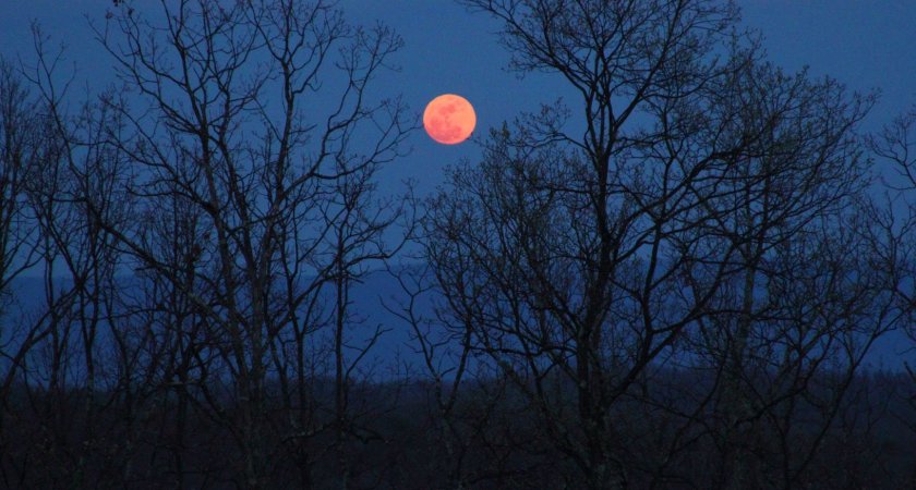 Синоптики рассказали, можно ли будет увидеть лунное затмение в Коми