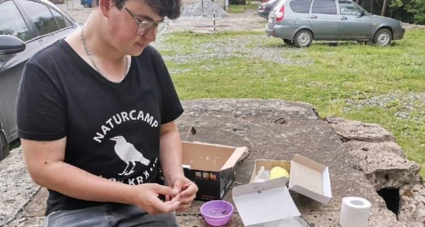 “Если вы поймали птицу — она больна!”: сыктывкарец рассказал, как спасает пернатых