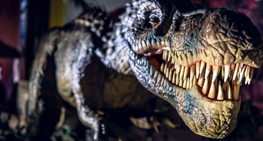 В Сыктывкаре произойдет “вторжение динозавров”: куда сходить на новогодних каникулах