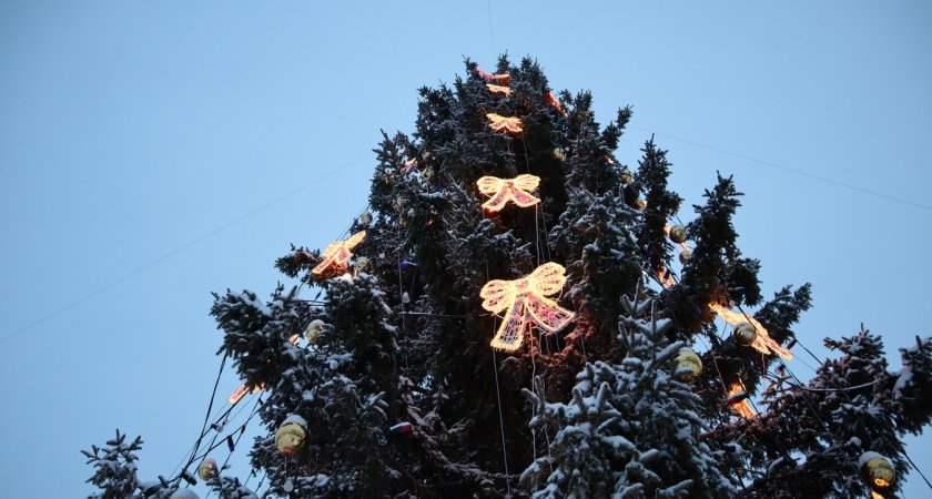 В Сыктывкаре из-за гриппа может сорваться 700 новогодних елок