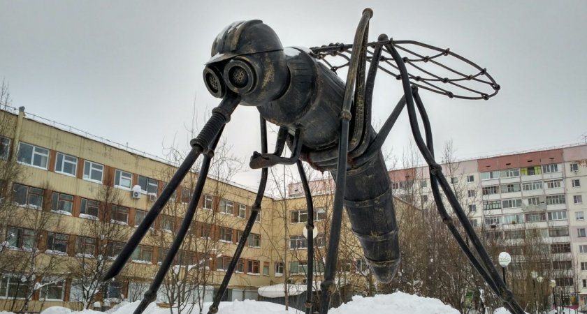 Усинск станет муниципальным округом с 1 января