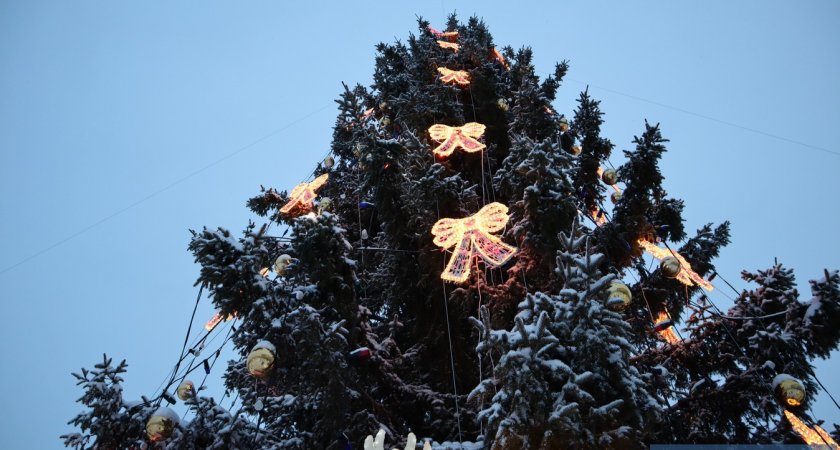Россиянам объяснили, куда деть ненужную новогоднюю елку