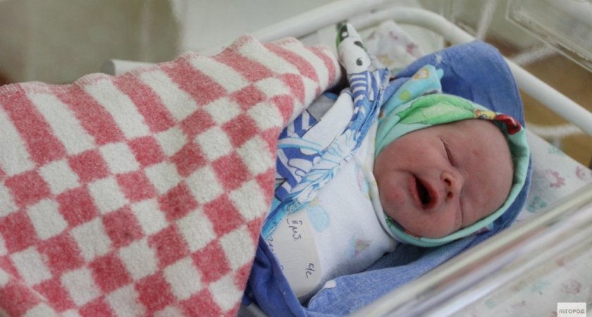 В перинатальном центре Сыктывкара за праздники на свет появились три двойни