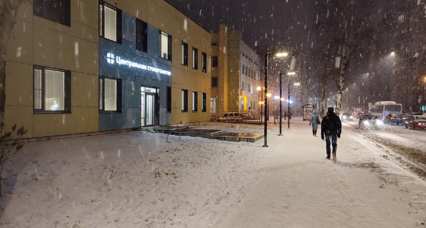 Коми накроют снегопады: синоптики дали прогноз на 12 января