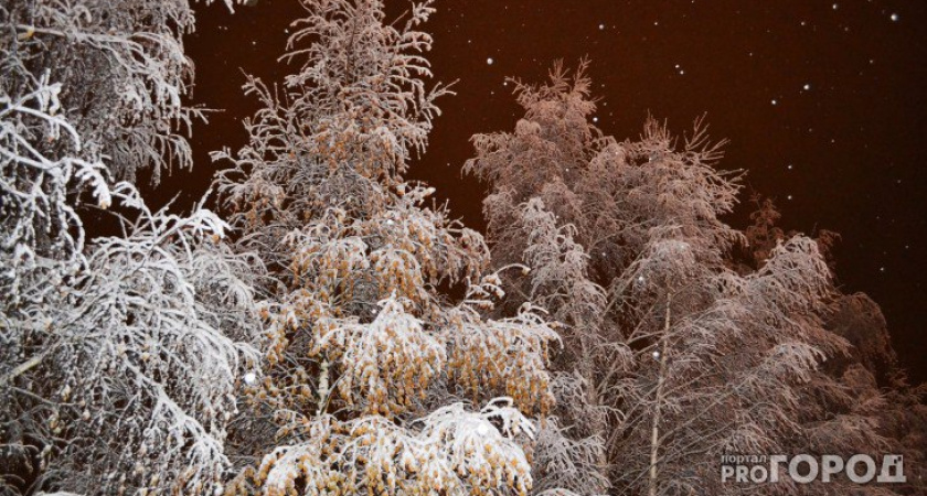 В Коми запретили передвигаться по зимнику