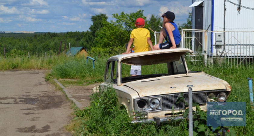 Июнь и июль в Коми будут аномально жаркими