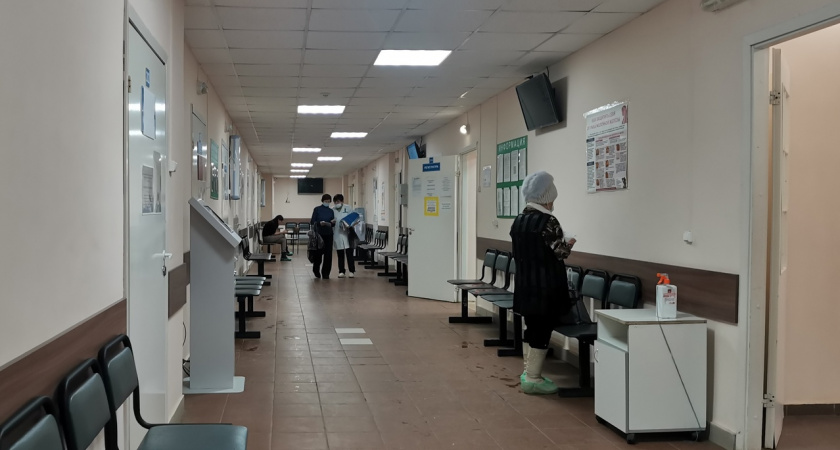 В Коми участились случаи ветрянки, сальмонеллеза и туберкулеза