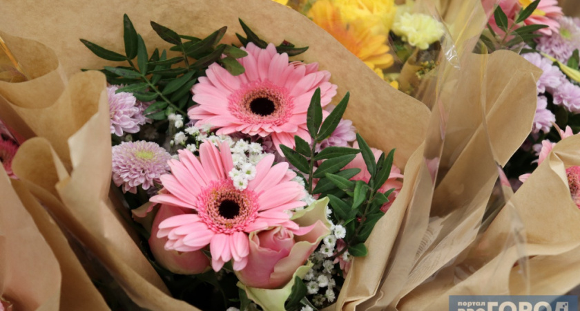 В Сыктывкар привезли примулы с западным цветочным трипсом