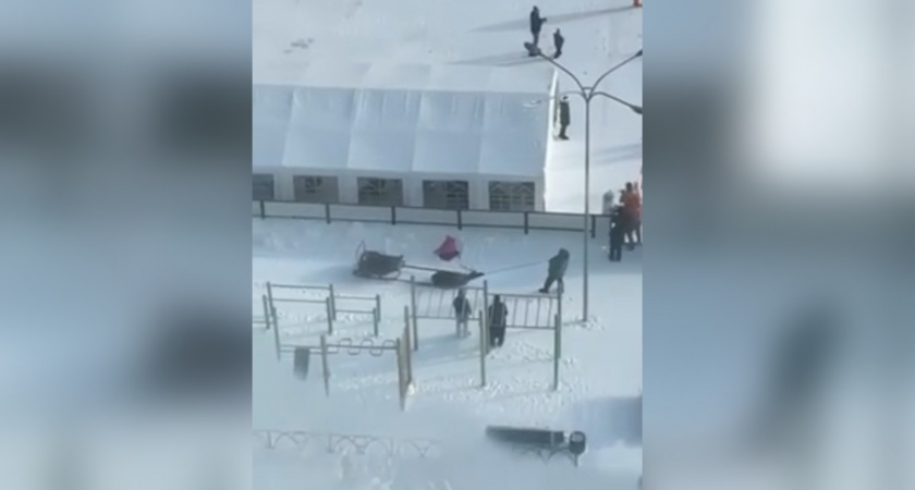 Мужчину, который выгуливал и пинал оленя в Сыктывкаре, наказали предупреждением