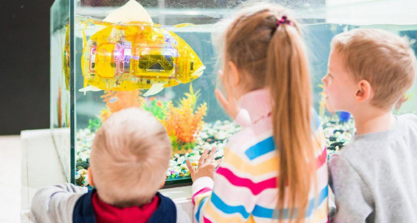 В Сыктывкар едут знаменитая робособака, самый гибкий робот в мире и “летающие пиксели”