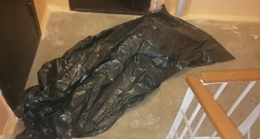 В Коми в подъезде дома обнаружили труп