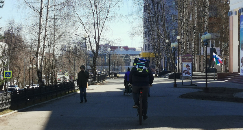 Тепло и дождливо: синоптики дали прогноз на неделю в Коми