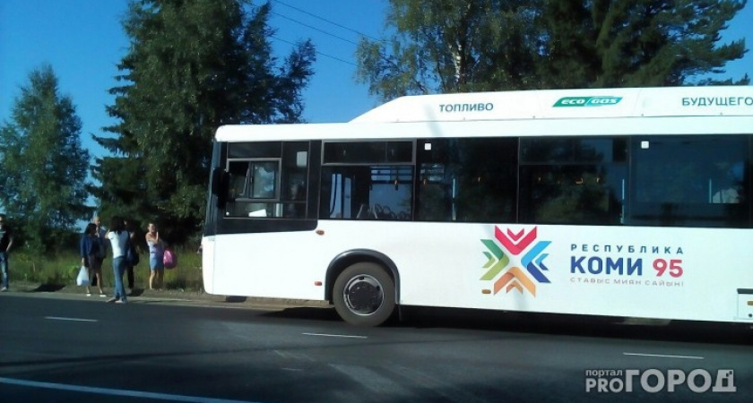 На Троицу в Сыктывкаре запустят дополнительные автобусы: расписание