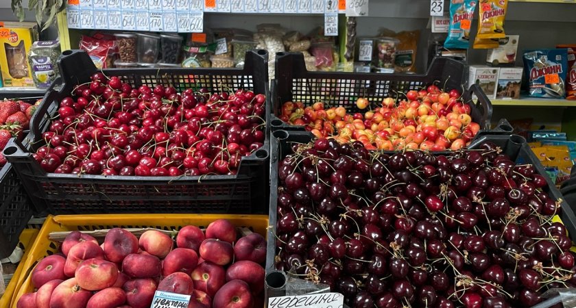 Где купить черешню в Сыктывкаре: сколько стоит и как выбрать