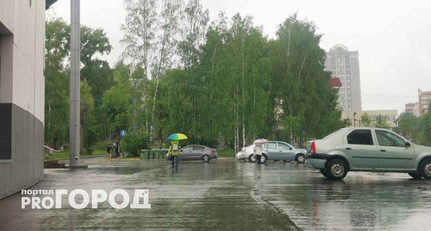 Сразу девять районов Коми накроют ливни и грозы: объявлено штормовое предупреждение