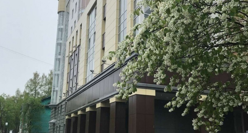 Житель Усть-Куломского района отправится в тюрьму за убийство своего друга