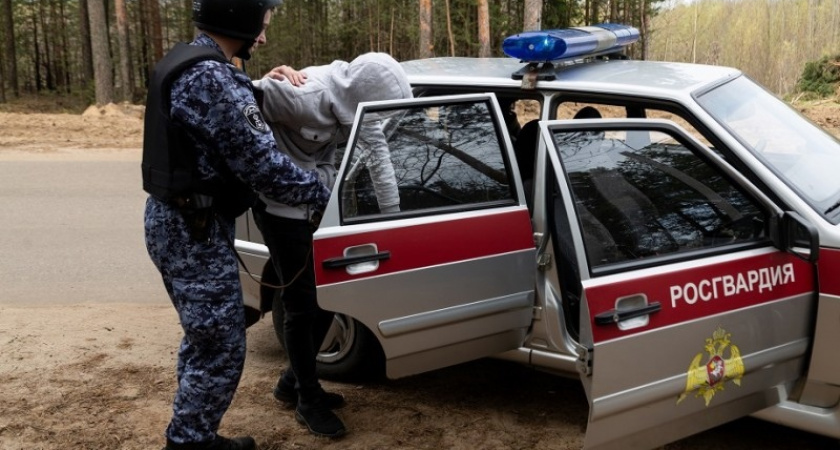 В Коми задержали похитителя силовых кабелей