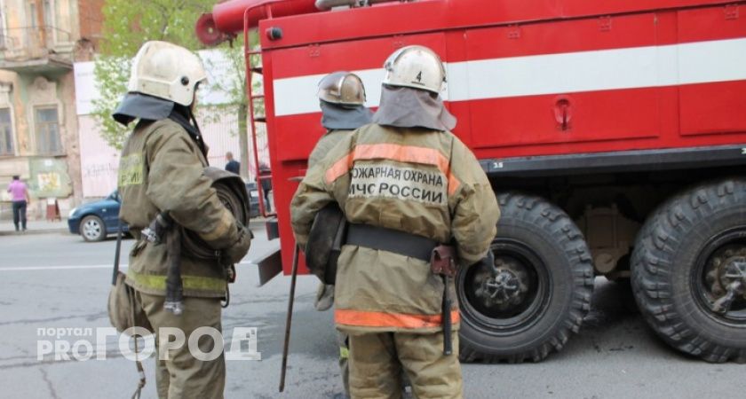 В Коми спасатели потушили крупный лесной пожар
