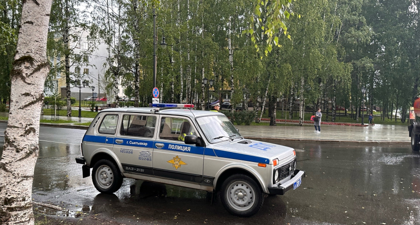 В Коми приятели обокрали два дачных домика и получили реальный срок