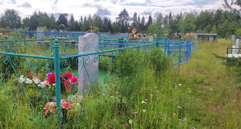 В Сосногорске полицейские задержали осквернителя могил 