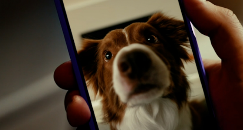 Летом дачники чаще устанавливают камеры видеонаблюдения