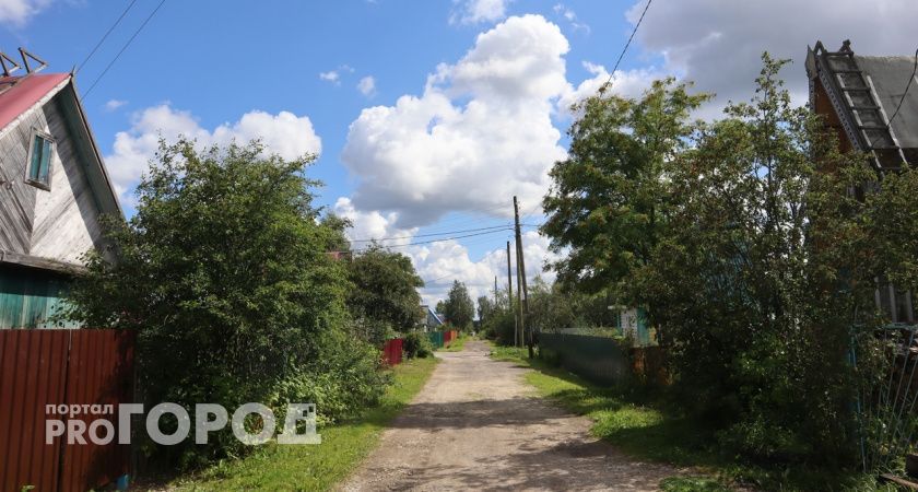 Жара не отступит: синоптики дали прогноз на следующую неделю в Коми