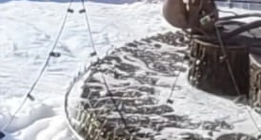 В Сосногорске подростки залили фонтан "Белка с шишкой" пенящейся жидкостью