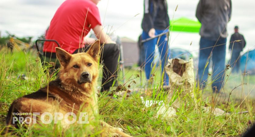 Гороскоп на 12 августа 2023 года: непростой выбор и получение тайных знаний