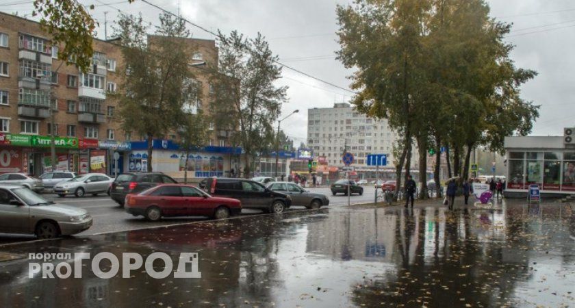 Поддержка свыше обеспечена: Глоба назвала счастливчиков с большой прибылью в 2024 году