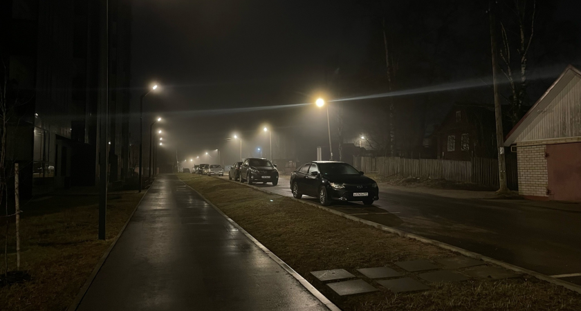 Жители Коми смогут увидеть комету Нишимура всего один раз 