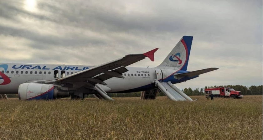 Самолет "Уральских авиалиний" экстренно сел в поле под Новосибирском