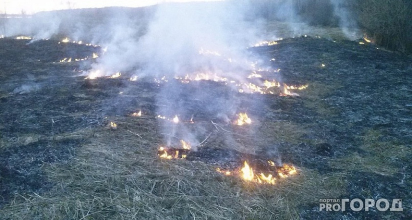 В Коми по вине местных жителей загорелся лес