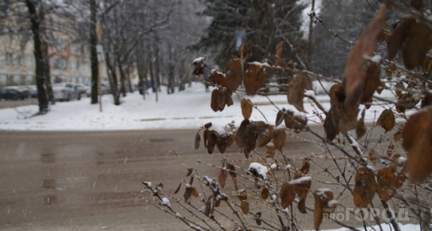 Снег с дождем обещают синоптики жителям Коми в ближайшие дни