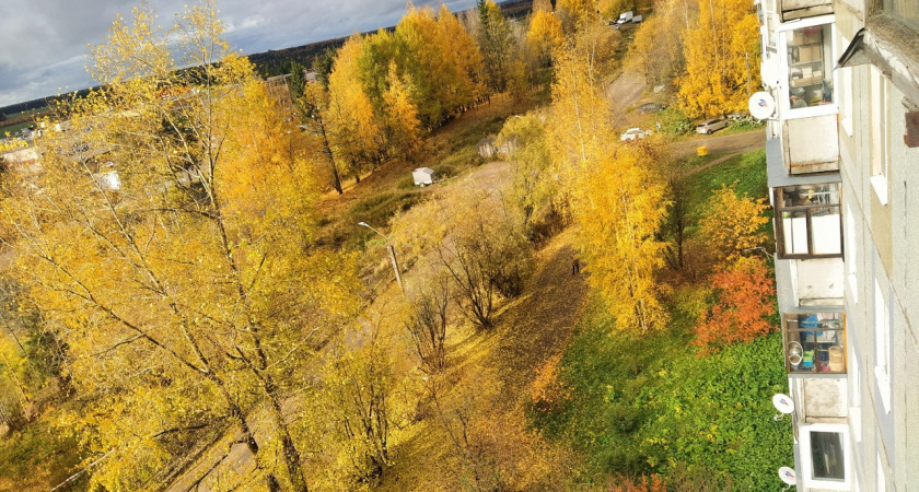 Слабый дождь и до +11°C обещают сыктывкарцам синоптики на 3 октября