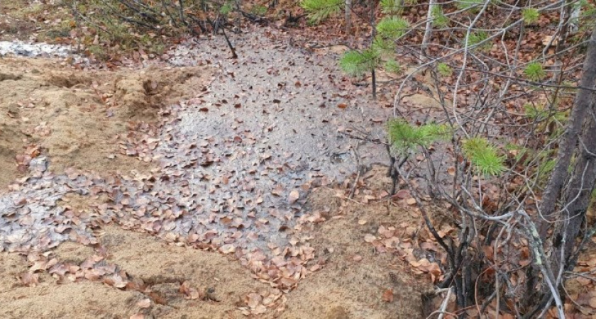 В Усинске в районе кладбища обнаружили слив отработанных нефтепродуктов