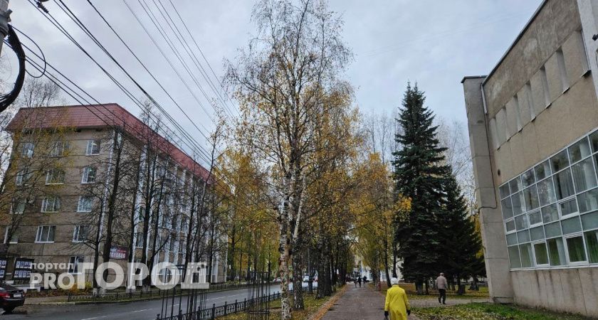 Синоптики рассказали о погоде в Сыктывкаре