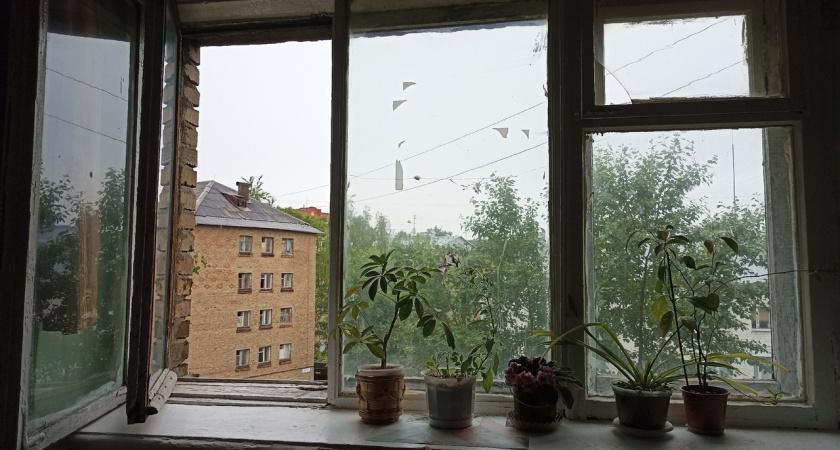 Глава Следственного Комитета России потребовал доклад из-за плесени в квартире жительницы Печоры