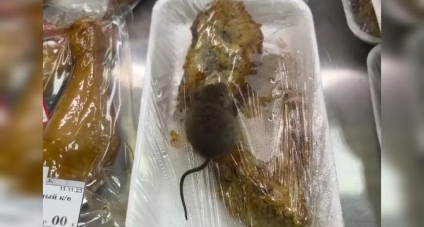 В магазине Усинска очевидцы засняли на видео мышь на прилавке с едой  