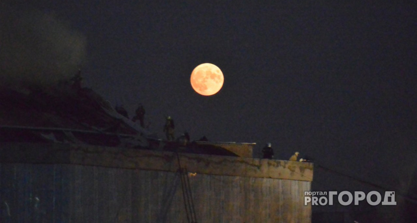 Гороскоп на 24 ноября: Раки исполняют желания, а Козероги раскрывают тайны