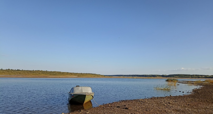 В Коми мужчина поймал 80 килограммов рыбы и попал на скамью подсудимых