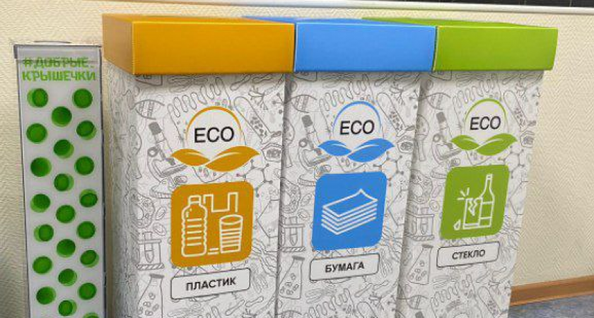 В Коми запустили проект "Экоофис"