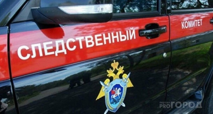 В Петербурге избили и похитили жительницу Коми 
