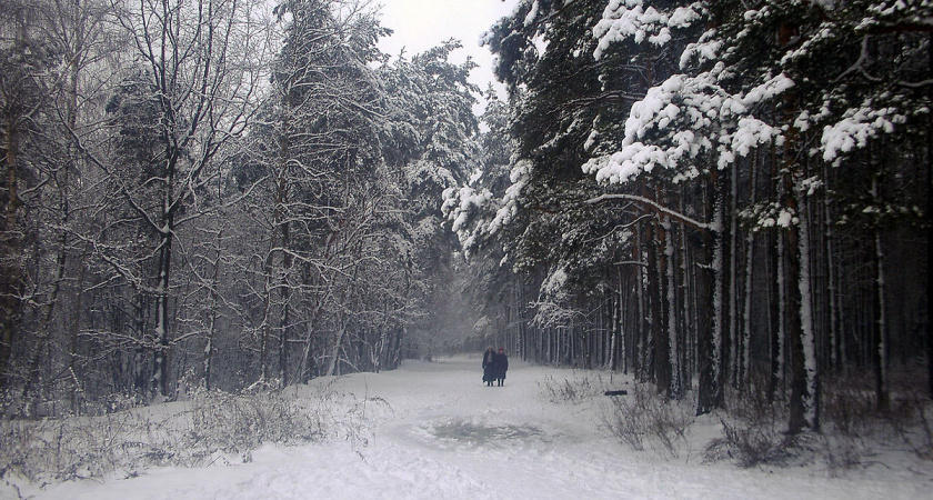 Приметы 18 февраля. Не делайте этого в день Агафьи Коровницы, если не хотите разом лишиться денег