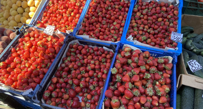Всего один раз так удобрить грядку весной, и клубника пойдет в нескончаемый рост