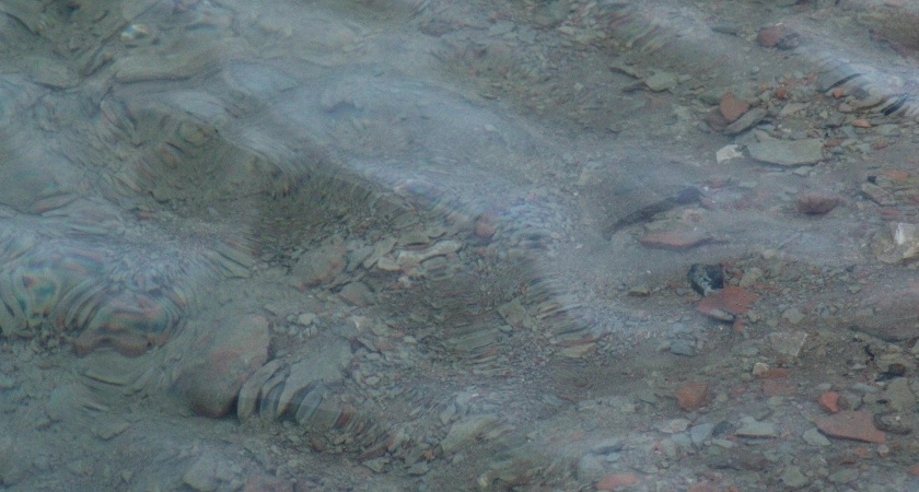 В Сыктывкаре углубят реку Вычегду: на эту цель выделено 20 миллионов рублей