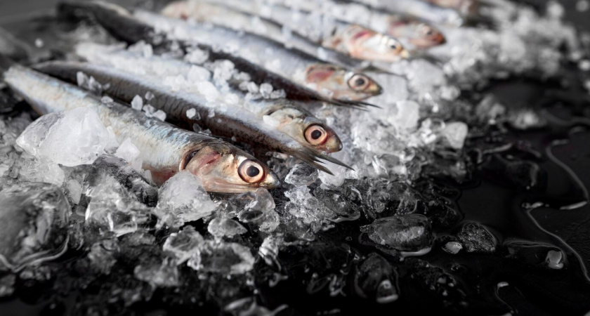 В этой рыбе огромное содержание ртути: гробит печень, мозг и сердце